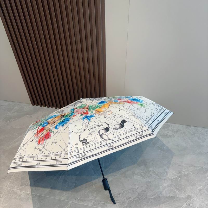 Dior umbrella (170)