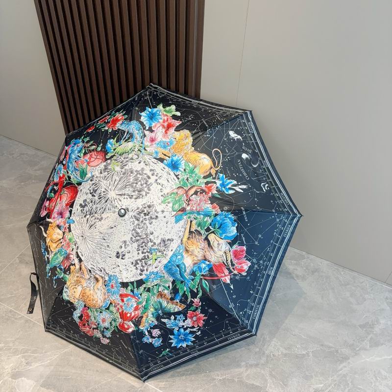 Dior umbrella (178)