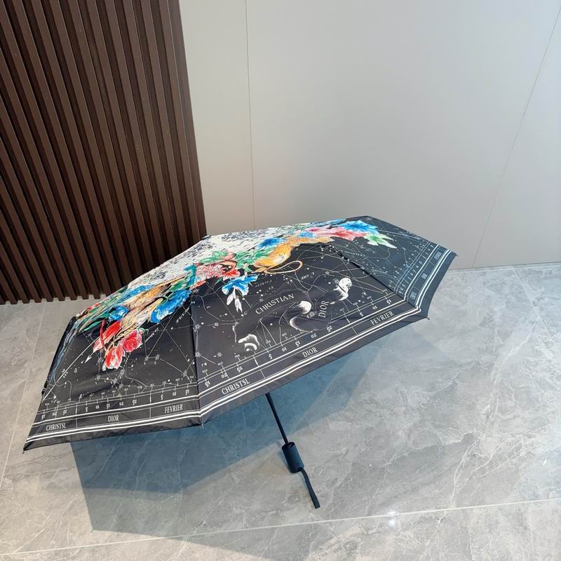 Dior umbrella (179)