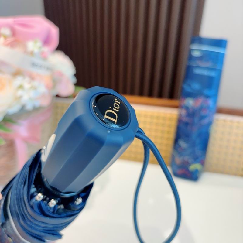Dior umbrella (273)