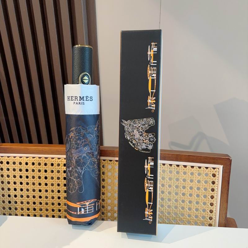 Hermes Umbrella (253)
