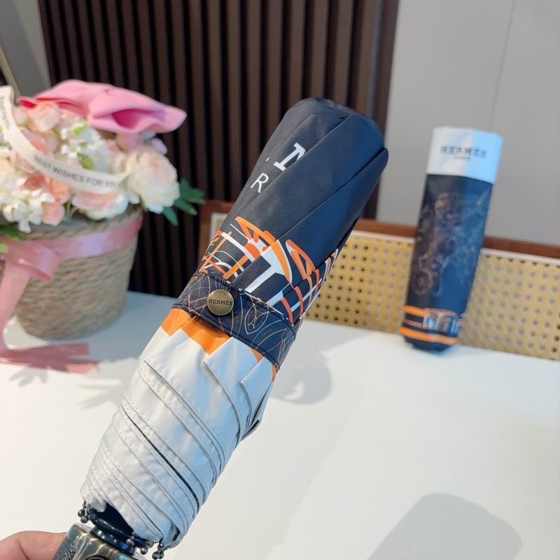 Hermes Umbrella (255)