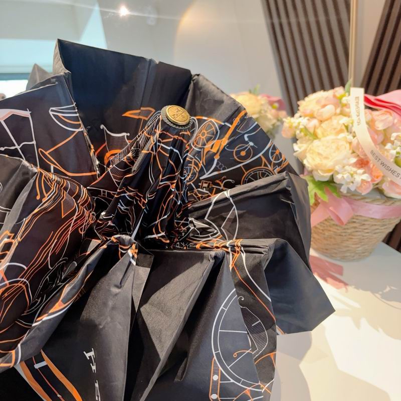 Hermes Umbrella (257)