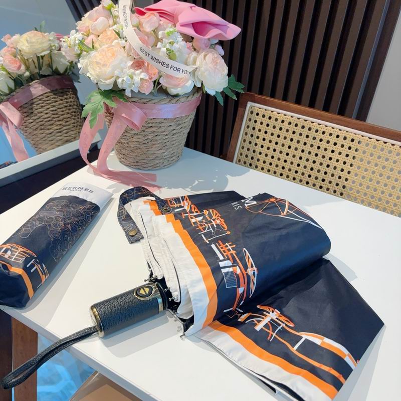 Hermes Umbrella (258)
