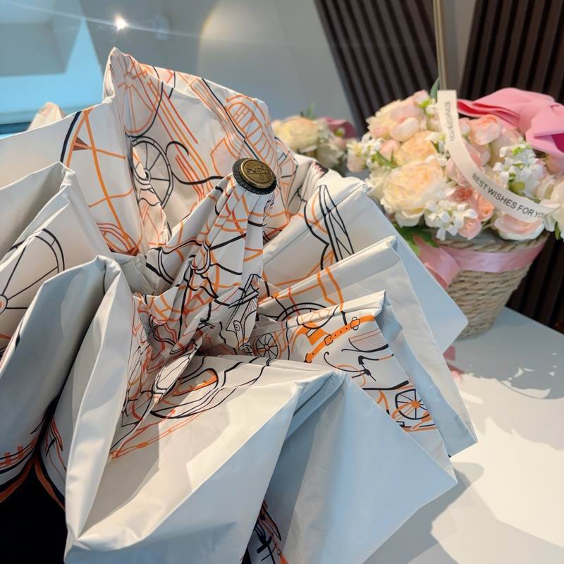 Hermes Umbrella (266)