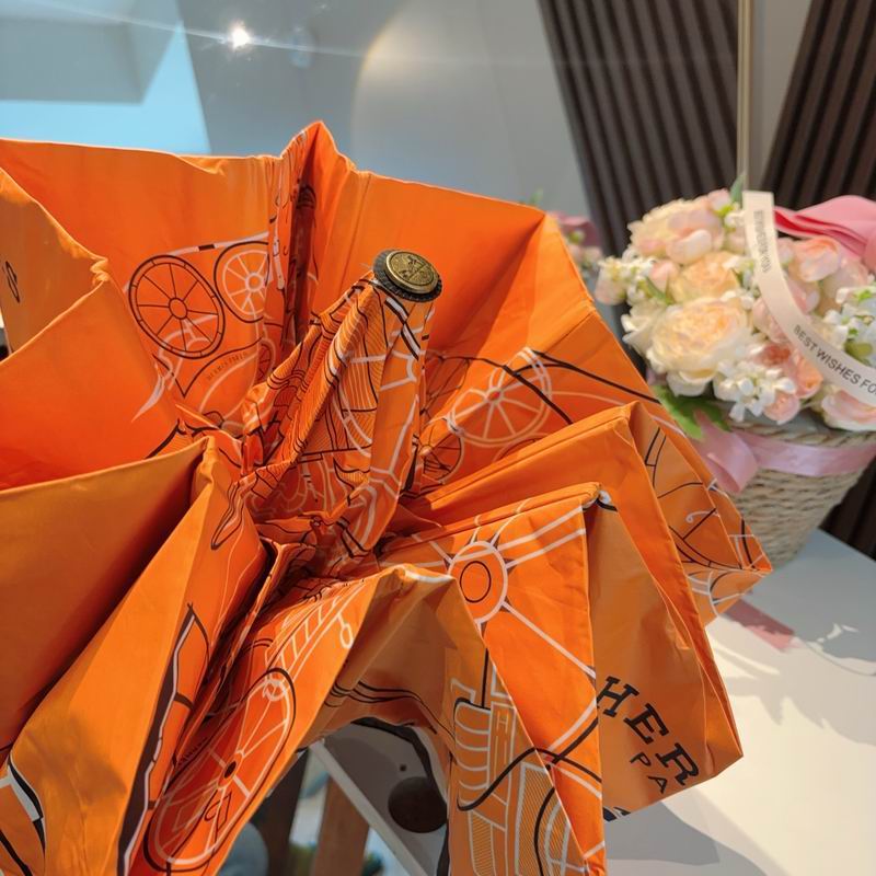 Hermes Umbrella (275)