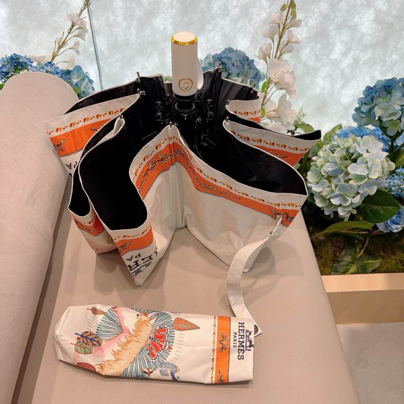 Hermes Umbrella (329)
