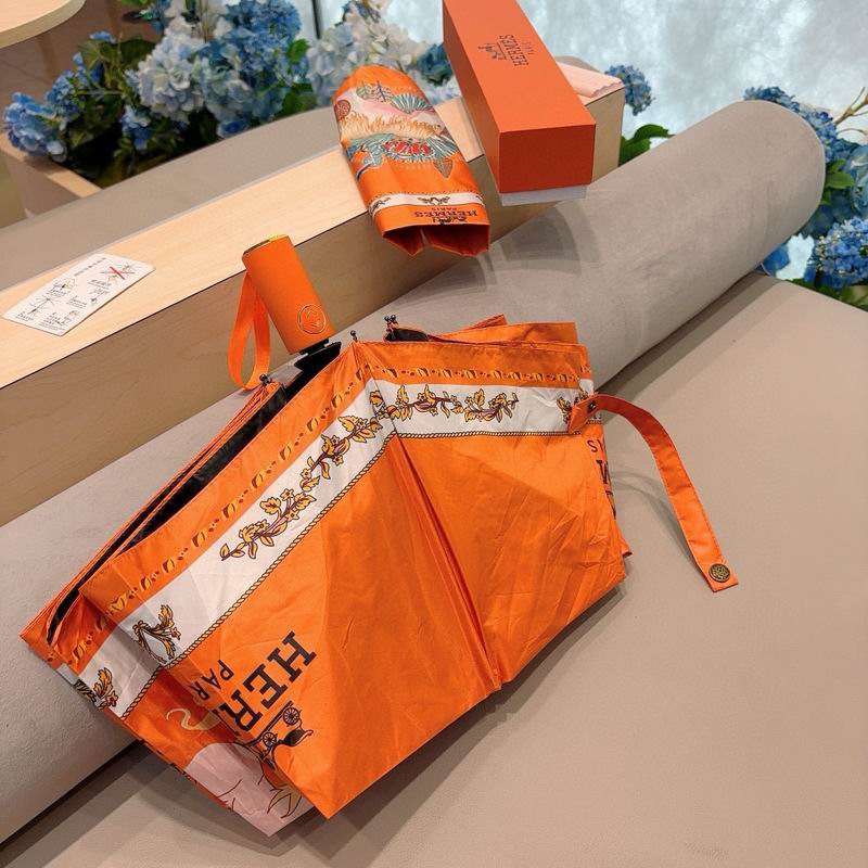 Hermes Umbrella (347)