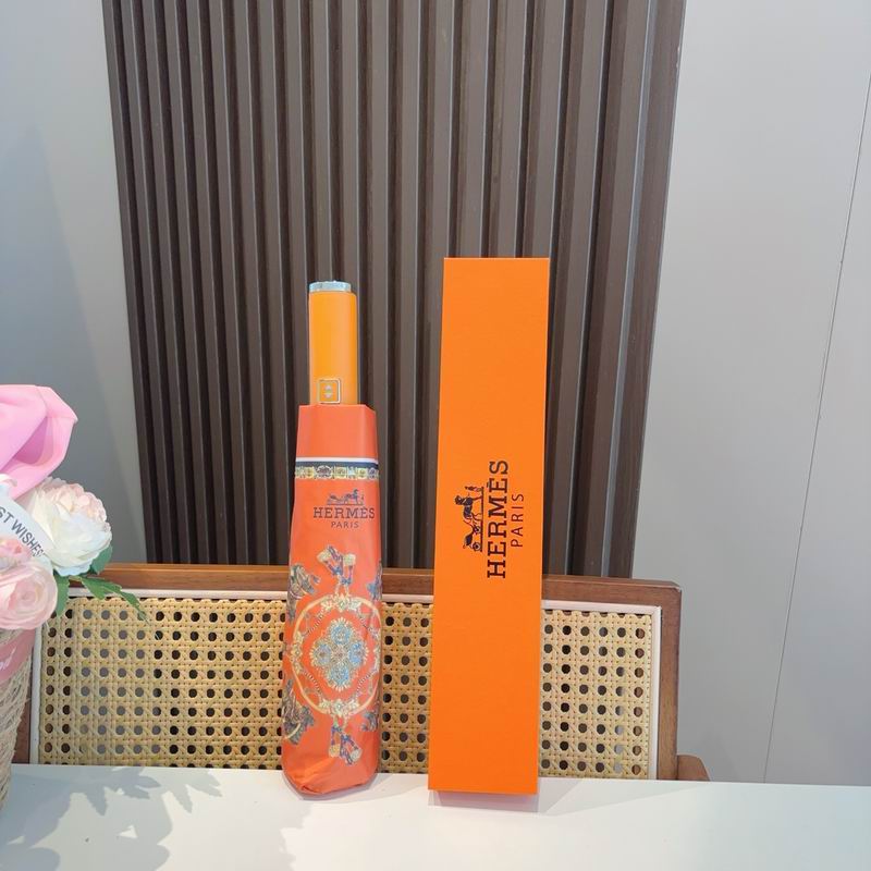 Hermes Umbrella (353)