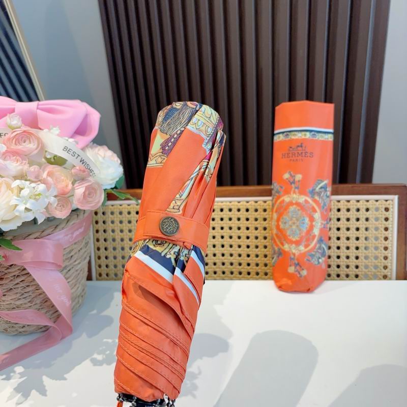 Hermes Umbrella (355)