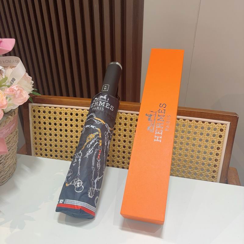 Hermes Umbrella (506)