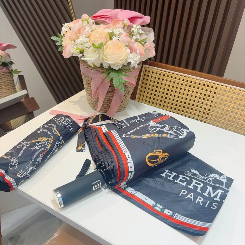Hermes Umbrella (510)