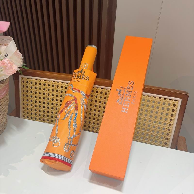 Hermes Umbrella (514)