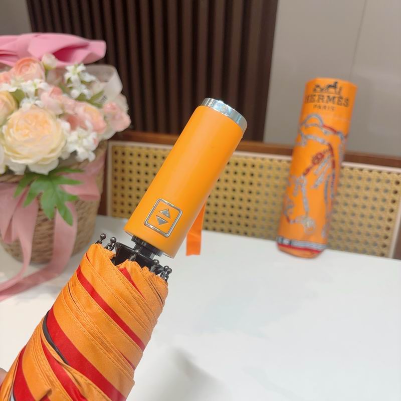 Hermes Umbrella (517)