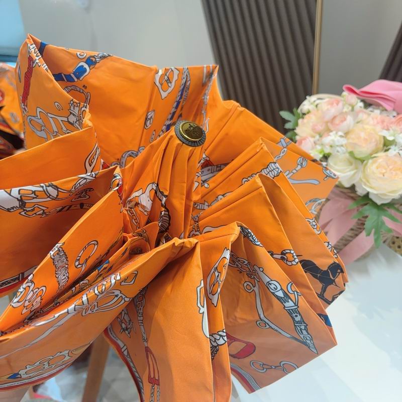 Hermes Umbrella (518)