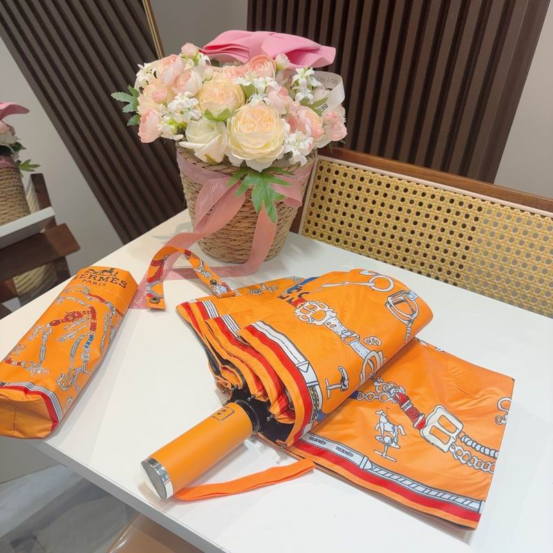 Hermes Umbrella (519)