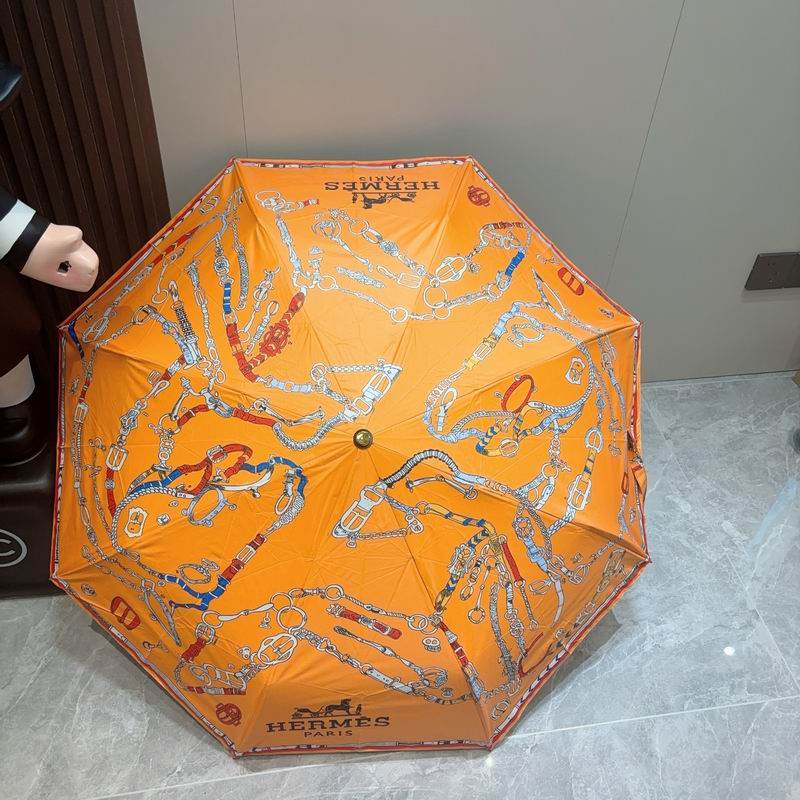 Hermes Umbrella (520)
