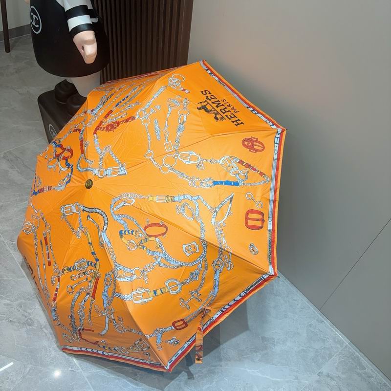 Hermes Umbrella (521)