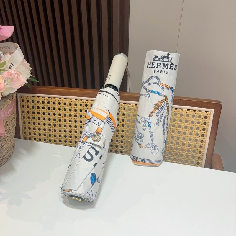 Hermes Umbrella (524)
