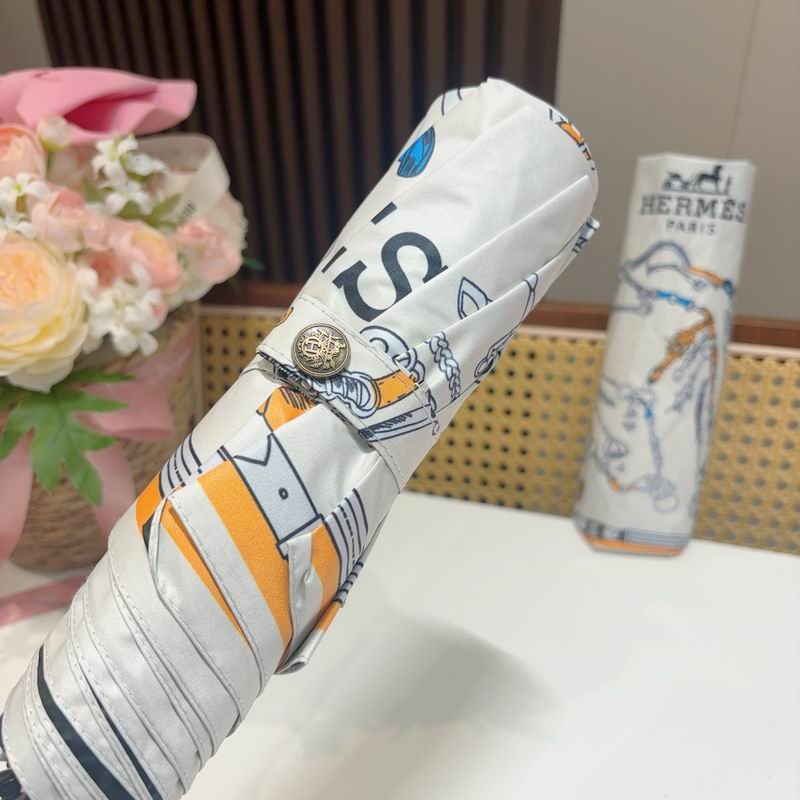 Hermes Umbrella (526)