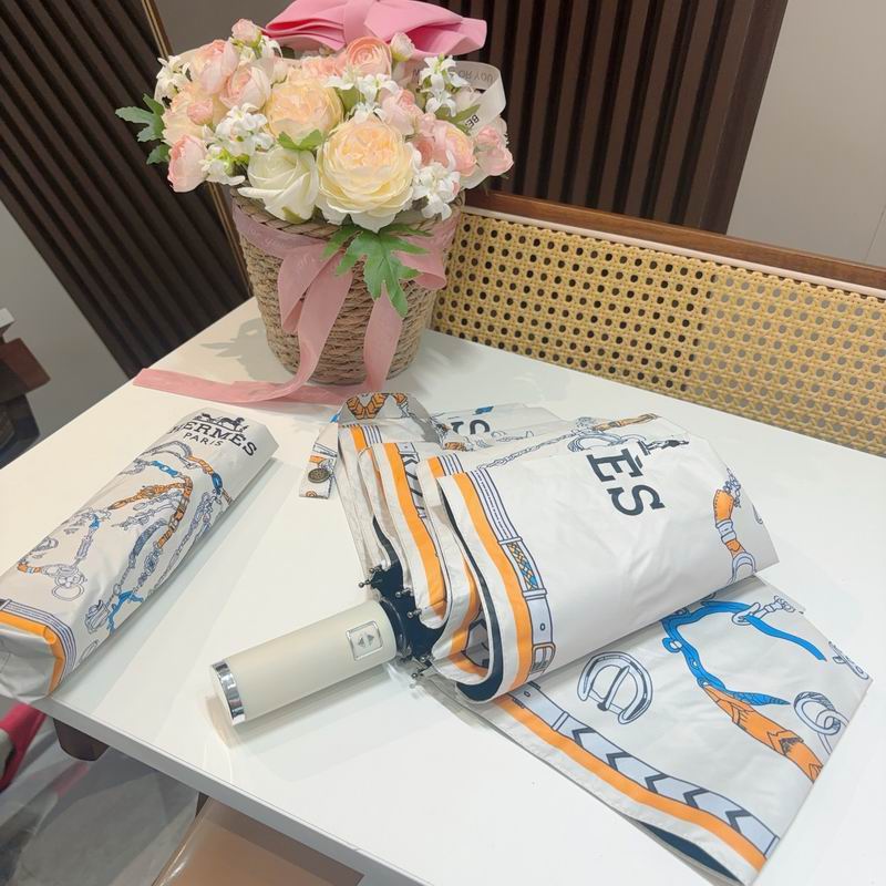 Hermes Umbrella (528)