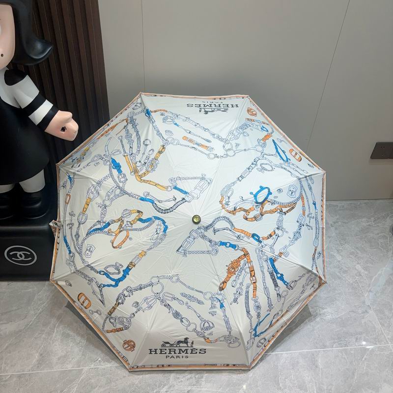 Hermes Umbrella (529)