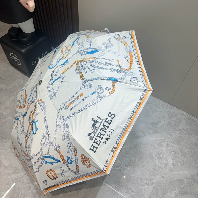 Hermes Umbrella (531)