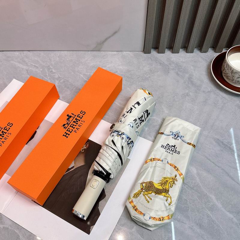 Hermes Umbrella hm (16)