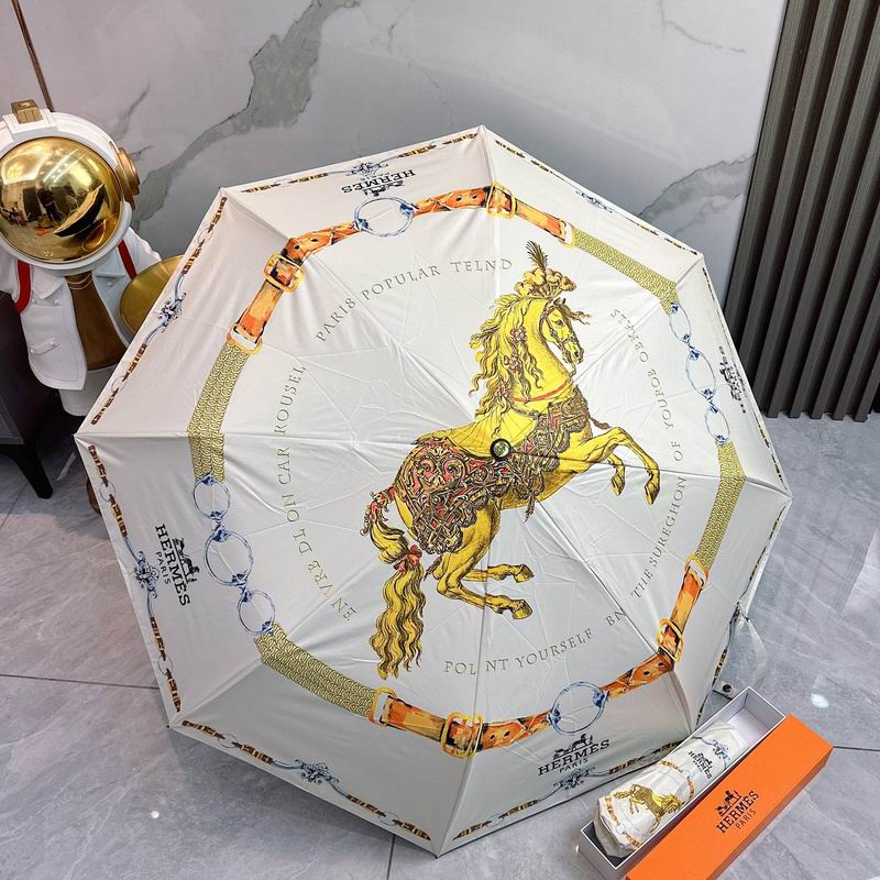 Hermes Umbrella hm (18)