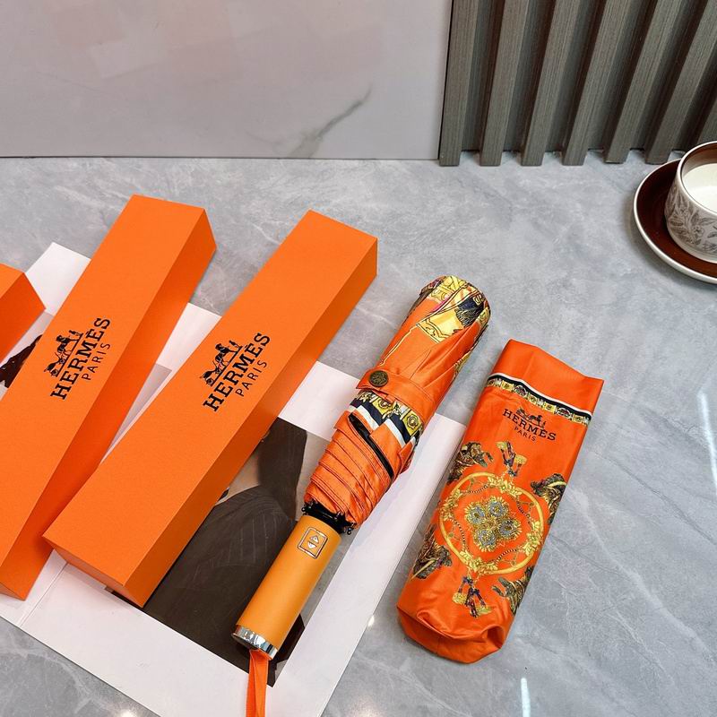 Hermes Umbrella hm (22)