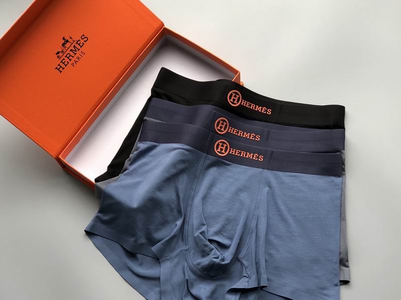 Hermes boxer L-4XL 21 (4)