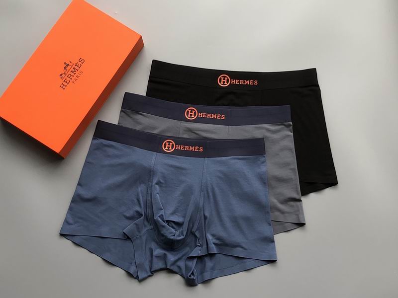 Hermes boxer L-4XL 21 (5)