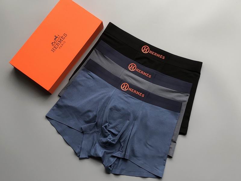 Hermes boxer L-4XL 21 (6)