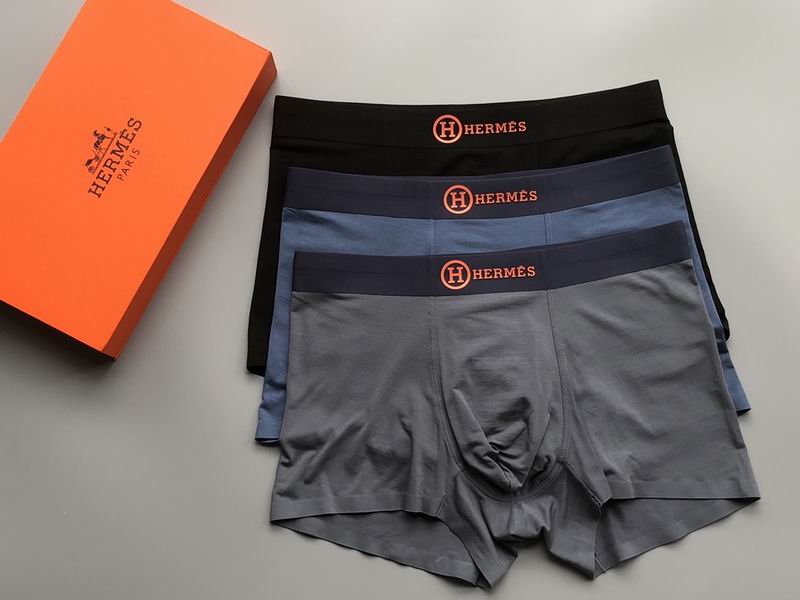 Hermes boxer L-4XL 21 (7)
