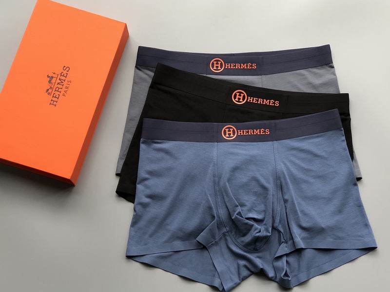 Hermes boxer L-4XL 21 (9)