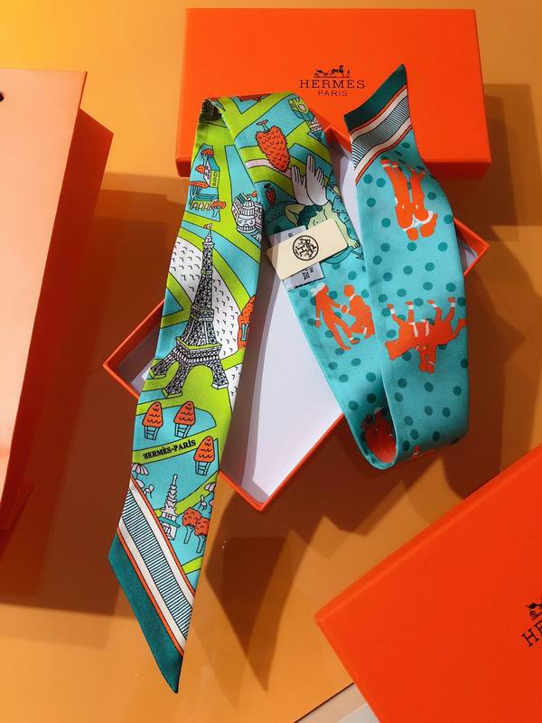 Hermes silk ribbon 5X86cm E01 (26)