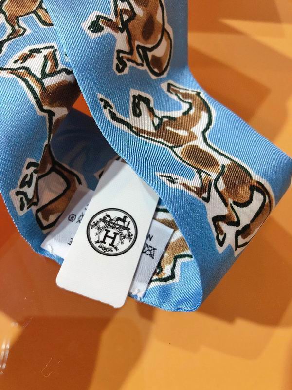 Hermes silk ribbon 5X86cm E01 (3)