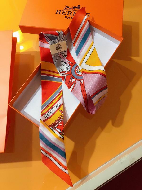 Hermes silk ribbon 5X86cm E02 (12)