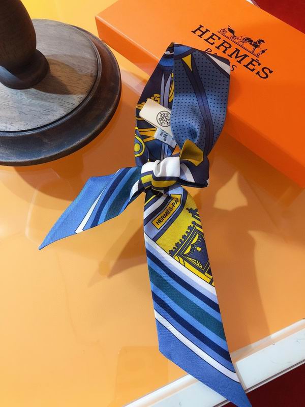 Hermes silk ribbon 5X86cm E02 (18)