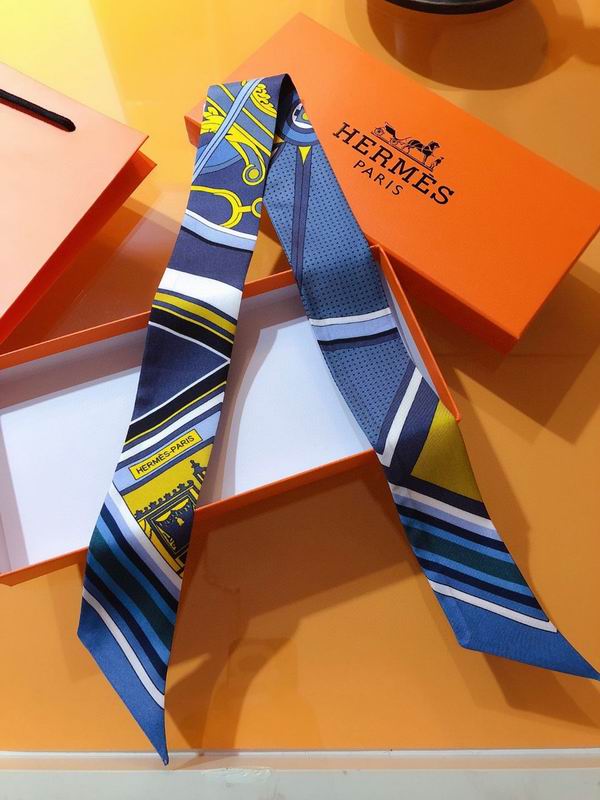 Hermes silk ribbon 5X86cm E02 (22)