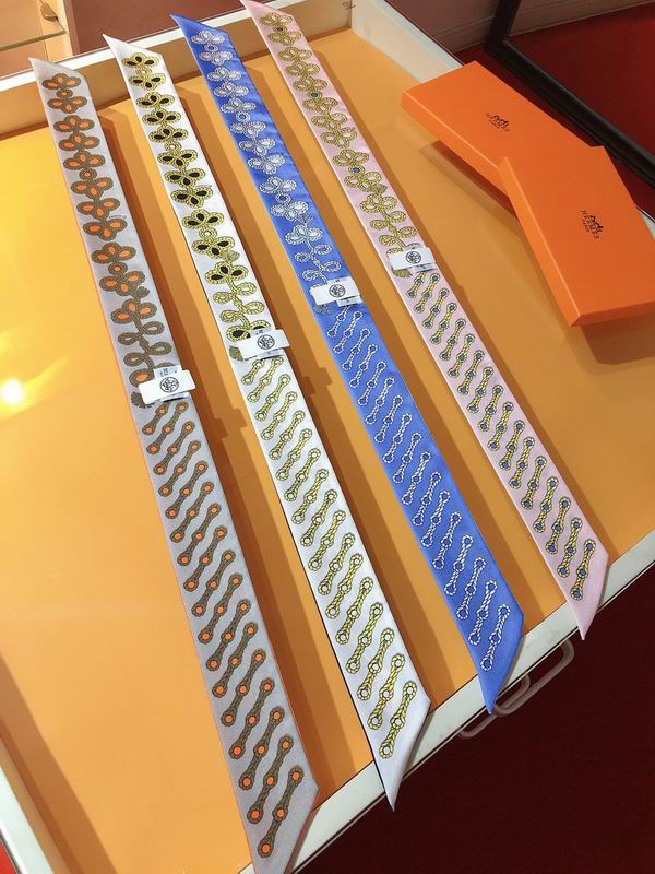 Hermes silk ribbon 5X86cm E03 (1)