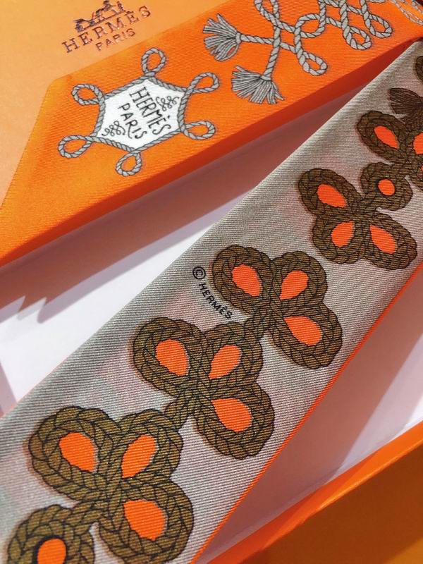 Hermes silk ribbon 5X86cm E03 (28)