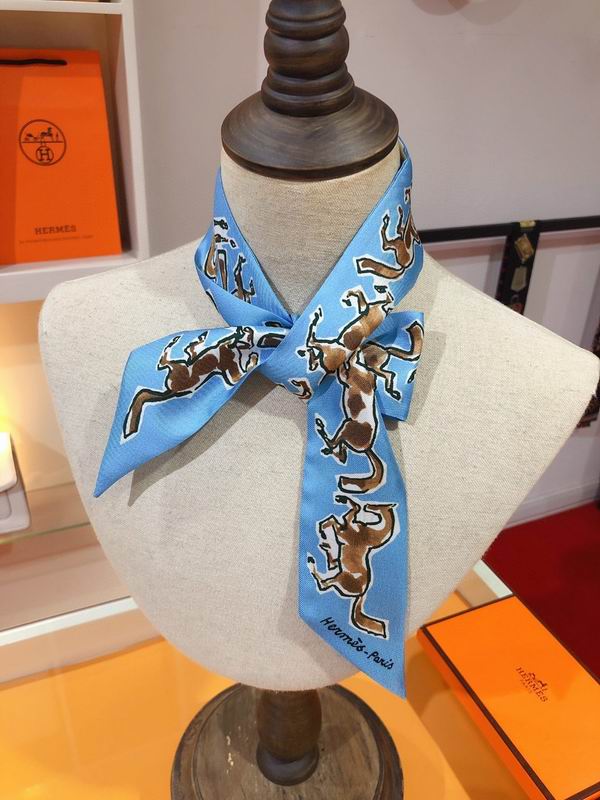 Hermes silk ribbon 5X86cm E05 (1)