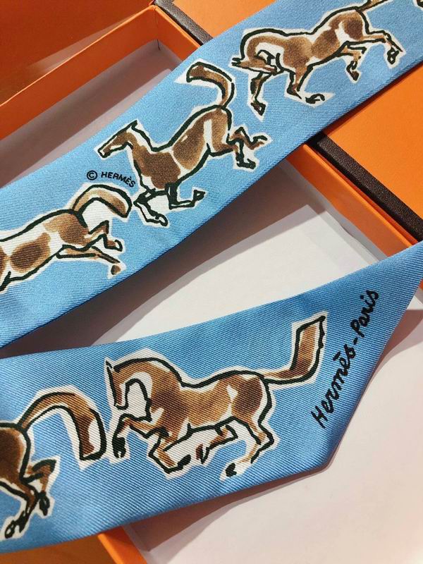 Hermes silk ribbon 5X86cm E05 (2)