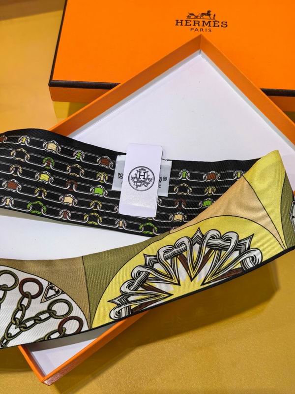 Hermes silk ribbon 5X86cm E08 (29)