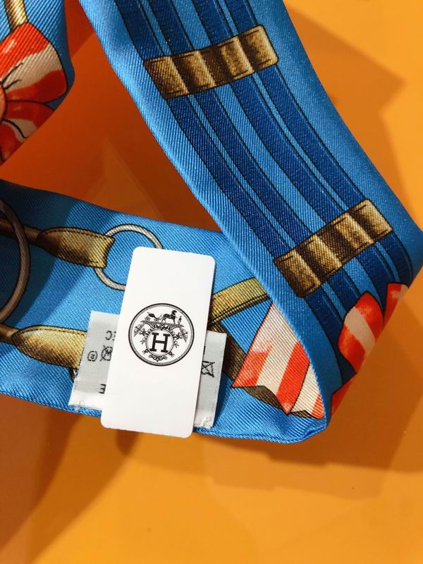 Hermes silk ribbon 5X86cm E106 (29)