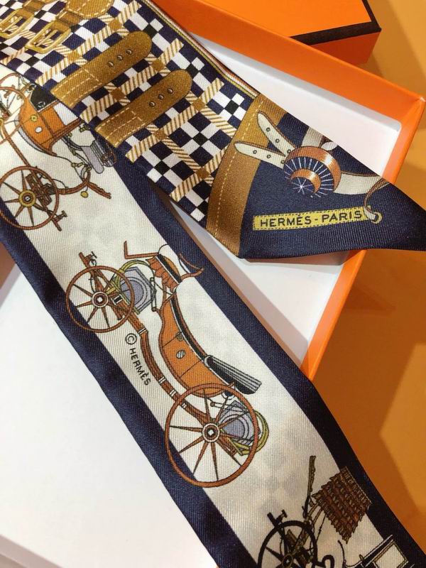 Hermes silk ribbon 5X86cm E107 (12)