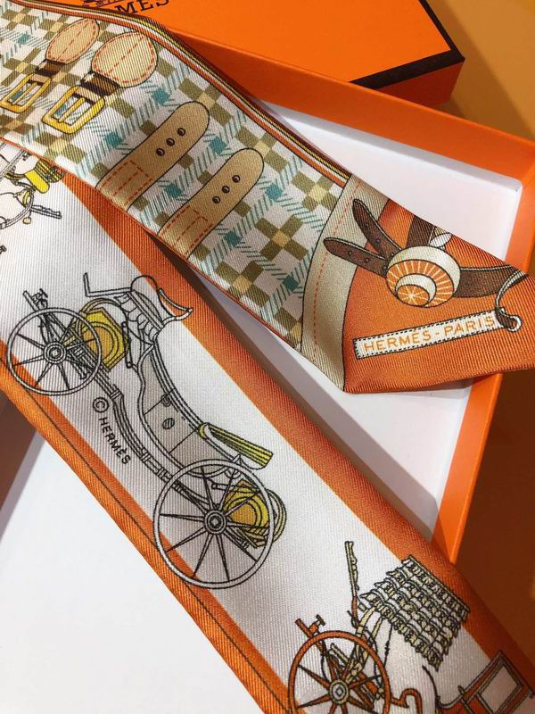 Hermes silk ribbon 5X86cm E107 (21)