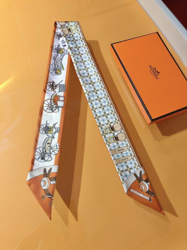 Hermes silk ribbon 5X86cm E107 (24)