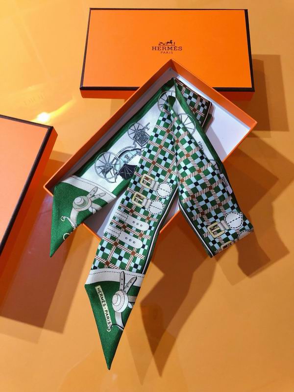 Hermes silk ribbon 5X86cm E107 (5)